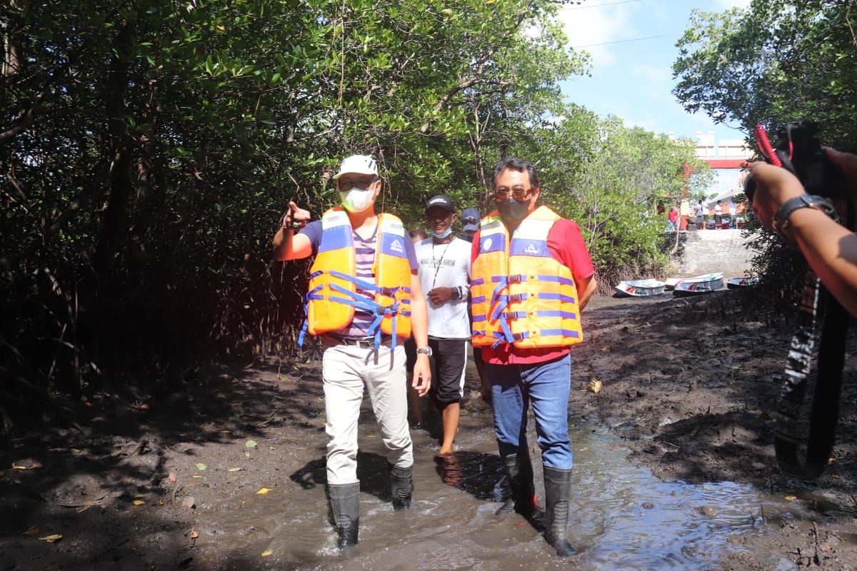 podiumnews.com-Pemkab Badung Apresiasi Komitmen Nelayan Lestarikan Mangrove